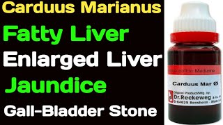 Carduus Marianus Homeopathic Medicine In Hindi [upl. by Eneladgam]