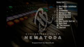 Album Vol 2 Nematoda [upl. by Etz227]