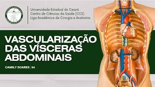 VASCULARIZAÇÃO DAS VÍSCERAS ABDOMINAIS  LACANFLIX [upl. by Anaya]