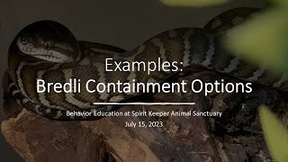 Morelia bredli Enclosures Containment Examples [upl. by Yoc398]