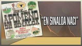 En Sinaloa Naci  El Apomeño De Sinaloa Mis Primeros Exitos Vol 1 [upl. by Ysabel375]