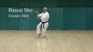 Bassai Sho Kata [upl. by Vicky]