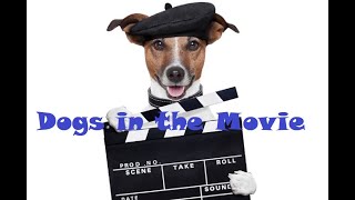 Dogs in the Movie  Part 1 [upl. by Eugeniusz]