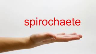 How to Pronounce spirochaete  American English [upl. by Htebasyle]