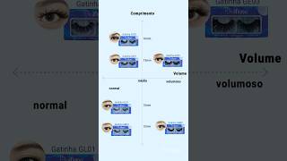 Dividimos cílios postiços em 4 áreas por cumprimento e volume Veja qual que você gosta 🥳 [upl. by Yasmine]