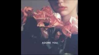 Miley Cyrus  Adore You Cedric Gervais Remix 2014 NEW SONG  LYRICS [upl. by Rovert]