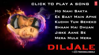 Diljale Movie Full Songs  Ajay Devgn Sonali Bendre  Jukebox [upl. by Yeung]