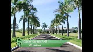 FAZENDA À VENDA EM CAMPO GRANDE  MS COM 550 HECTARES [upl. by Prowel]