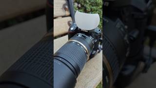 Dslr on camera flash diffuser shorts [upl. by Ahsak]