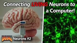 Working Neuron Arrays  DOOM Neurons Part 2 [upl. by Battista]