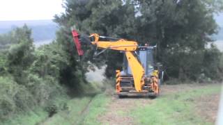 Extreme Hedge Cutting and DeLimbing with Protech Powerblade on JCB 3CX [upl. by Arelus538]