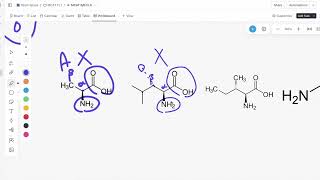 AAMC OFFICIAL FL5 Free Scored Practice BB Discrete Questions 1114 Explanations [upl. by Higinbotham]