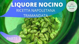 Nocino Ricetta Napoletana Tramandata [upl. by Forsyth945]