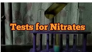 Test for Nitrate ions [upl. by Ttreve]