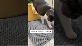 Jessaye le tapis à litière pour chat [upl. by Folsom]