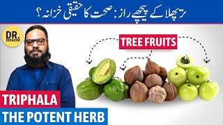 Triphala Sehat Ka Asli Khazana Triphala Benefits in UrduHindi  Dr Ibrahim [upl. by Alehcim]