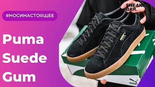 Puma Suede Gum Black 38117401 Onfeet Review  sneakersby [upl. by Lemak]