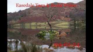 Easedale Tarn  040124 [upl. by Innob]