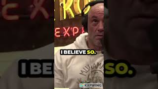 Joe Rogan on Emile Griffith vs Benny Perrette jre joerogan podcast boxing [upl. by Shuman]