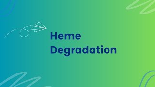 472 Heme degradation and bilirubin formation  Diagram 3 [upl. by Aisital]