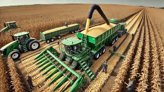 How to Harvest Billions of Pounds of Corn Daily  US Farmers with gigantic machines [upl. by Larsen3]