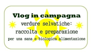 Vlog in campagna  verdure selvatiche raccolta e preparazione per una dieta sana e bio [upl. by Joacima]