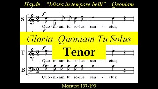 Haydn  Missa In Tempore Belli  Paukenmesse  2c Gloria Quoniam tu solus  Tenor [upl. by Alvera]