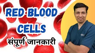 Lecture on RBC in hindiRed blood cell physiology in hindi [upl. by Ajaj]