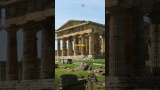 Parco archeologico di Paestum foryou storia history italia italy tendenze italianhistory [upl. by Enair]