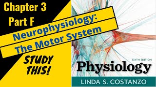 Costanzo Physiology Chapter 3F Neurophysiology The Motor System  Study This [upl. by Amliv]