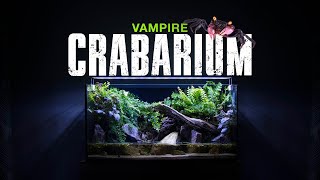 🦀 I MADE VAMPIRE CRAB ECOSYSTEM PALUDARIUM WITH WATERFALL STEP BY STEP GUIDE [upl. by Erle]