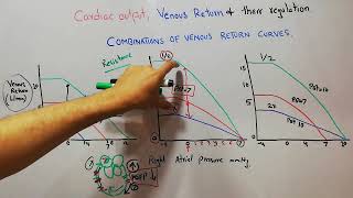 CVS 181  Venous return curve in combination with Venous Resistance amp Mean systemic filling pressure [upl. by Esyli]