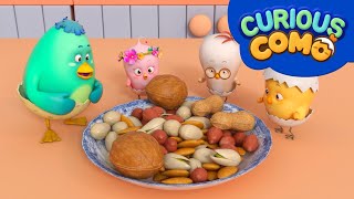 Curious Como  Nuts  Cartoon video for kids  Como Kids TV [upl. by Yroger640]