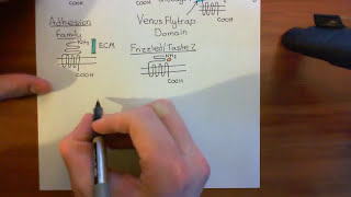 Cholera Toxin and Pertussis Toxin Part 2 [upl. by Uta690]