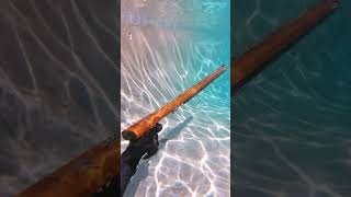 Speargun Single Roller HR1 Target Test 120cm 516 shaft spearfishing roller spearing [upl. by Gusella]