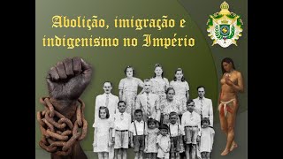 8º ano  Assunto 12  Abolição imigração e indigenismo [upl. by Repsihw755]