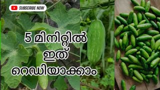 kovakka mezhukkupuratti Ivy gourd Tindora Coccinia കോവക്ക മെഴുക്കുപുരട്ടി kerala style [upl. by Hsoj]