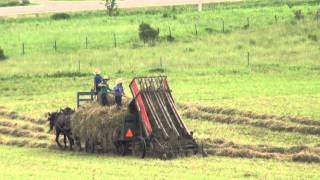 The Amish Way of Making Hay [upl. by Irtak870]