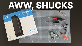 To shuck or not to shuck 20TB Easystore from BestBuy for Black Friday 2024 [upl. by Manoop383]