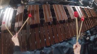 Buchholz 2024 Center Marimba Headcam Brandon Criss [upl. by Witherspoon]