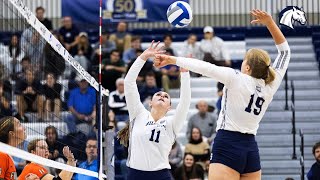 2024 Hillsdale College Volleyball Season Preview [upl. by Ecidnak]