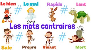 Apprendre les mots contraires en français [upl. by Sadick]