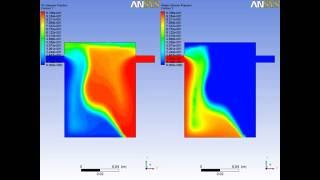 Tank Filling By Two FluidsAnsys Fluent [upl. by Enutrof]