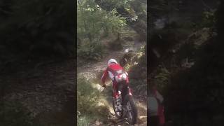 Trials bike riding Devon’s bikersest stream woodland woods roots freedom fun loveit s3 [upl. by Malvia]