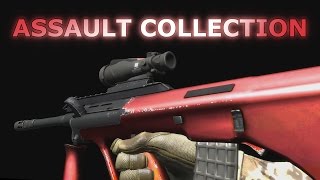 CS GO Skin Collection  Assault [upl. by Yereffej977]