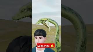 anaconda snake anaconda story 3danimation amazingfacts animation anaconda3 anaconda2 funny [upl. by Ajani]