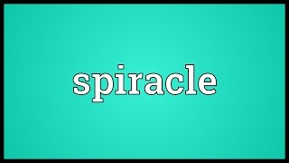 Spiracle Meaning [upl. by Nnalorac]