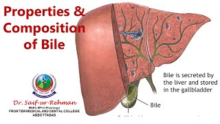 Properties and composition of bile [upl. by Gentilis839]