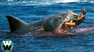 10 DEADLIEST Shark Attack Stories [upl. by Ayotan]