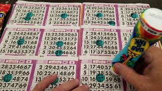 Bingo Games [upl. by Derk]